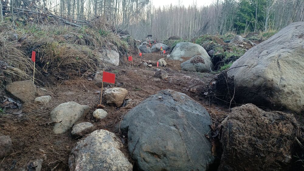 IMG-20211106-WA0024.jpeg