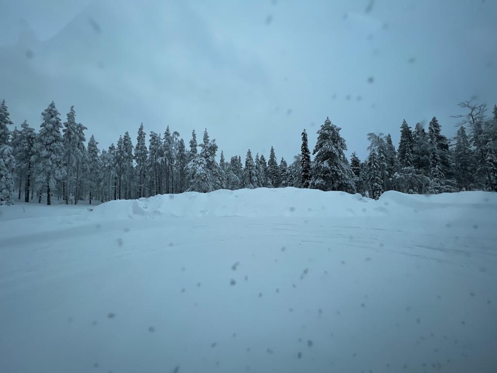 F21224BD-FF91-412E-A75E-5CF3A04849E4.jpeg
