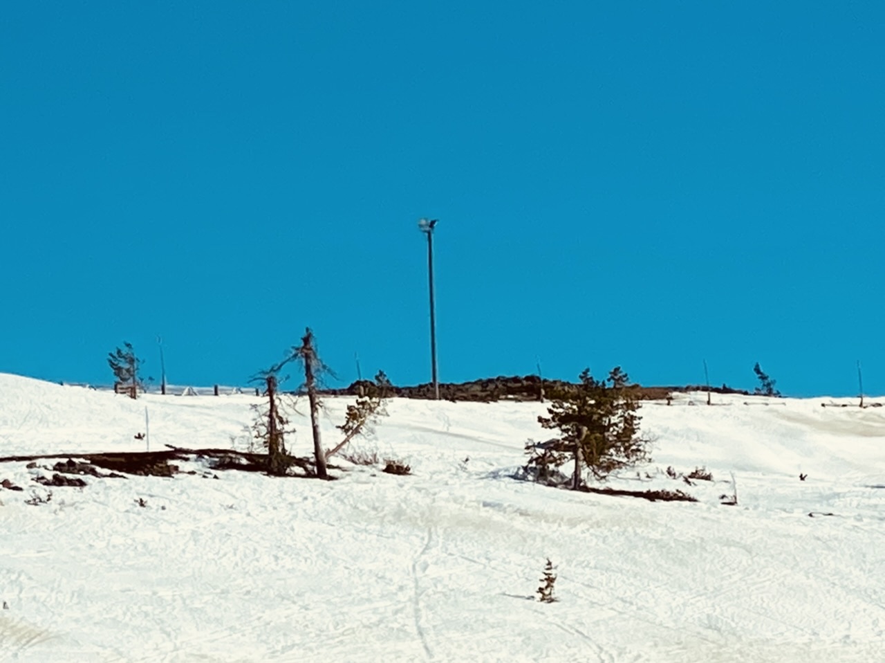 F01A7935-5543-46AE-81DD-11058F63041F.jpeg