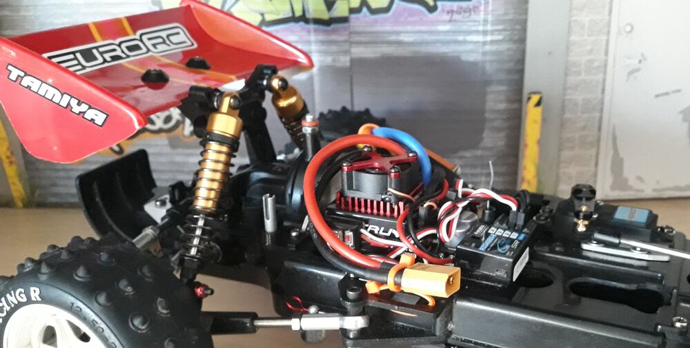 20230415_091428.jpg