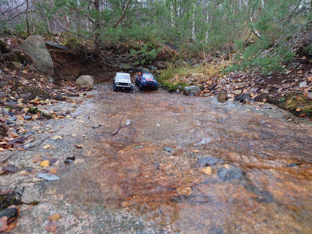 20231105_113156.JPG