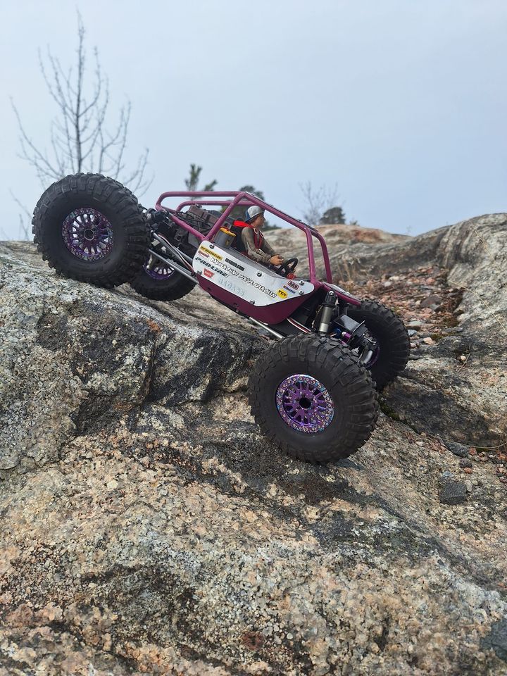 #wercrockbuggy.jpg