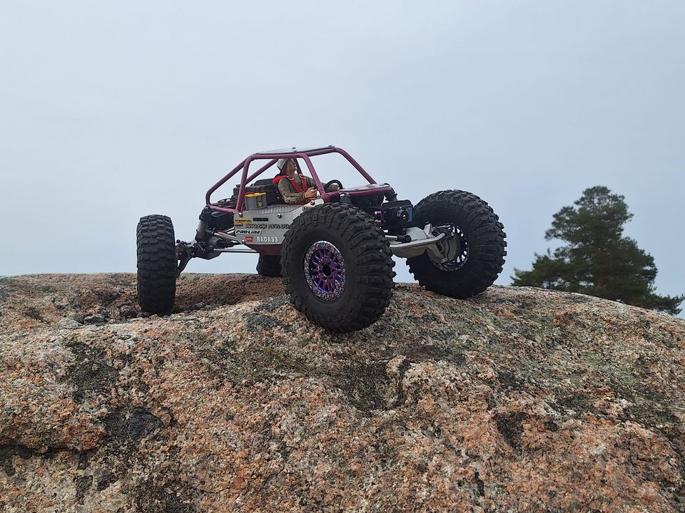 #wercrockbuggy2.jpg