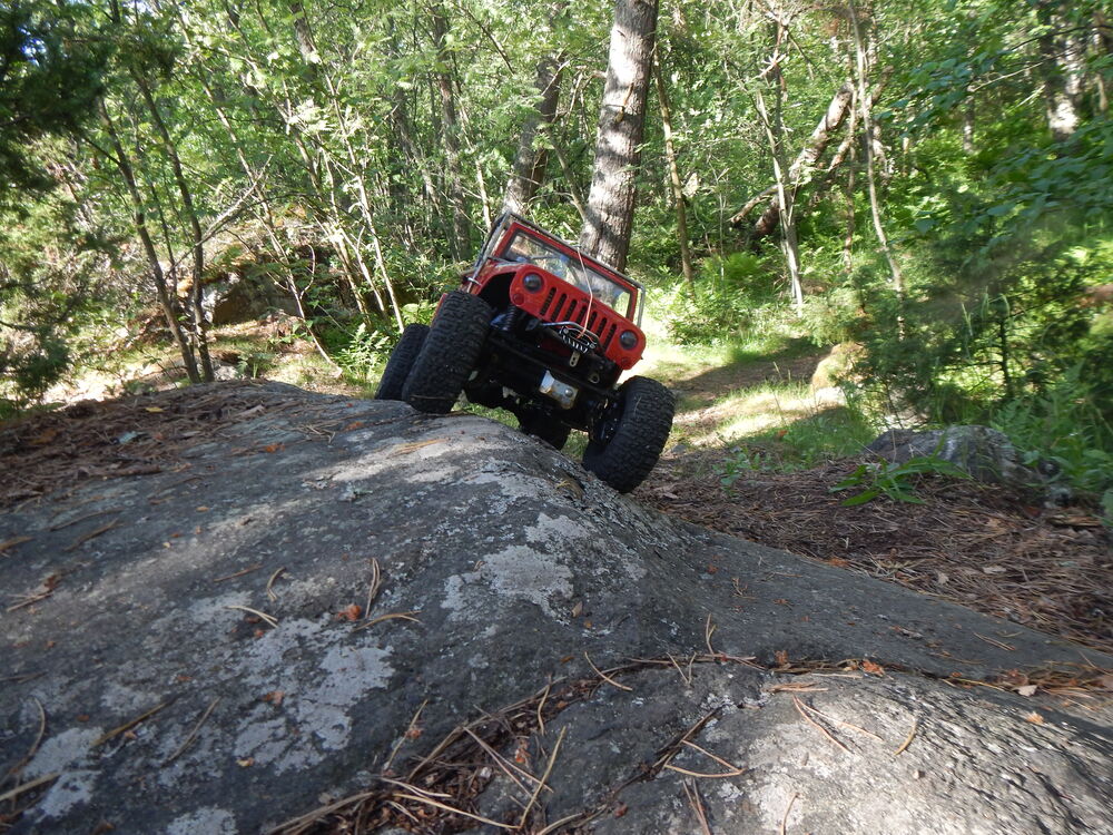 DSCN4141.JPG