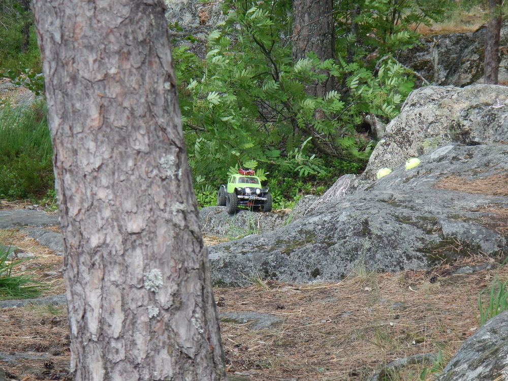 DSCN4201.JPG