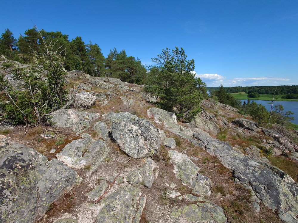 20240623_130159.JPG