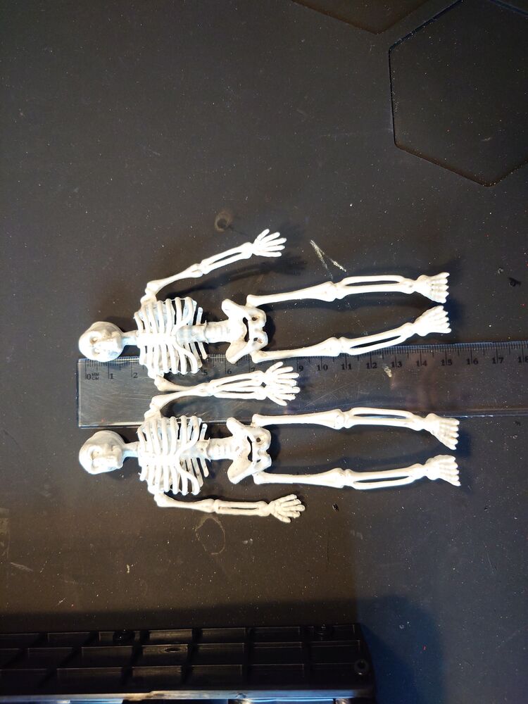 20240711_190506.JPG