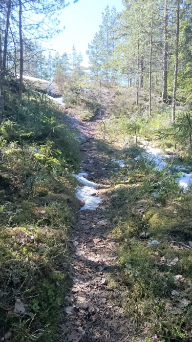 DSC_0302.JPG