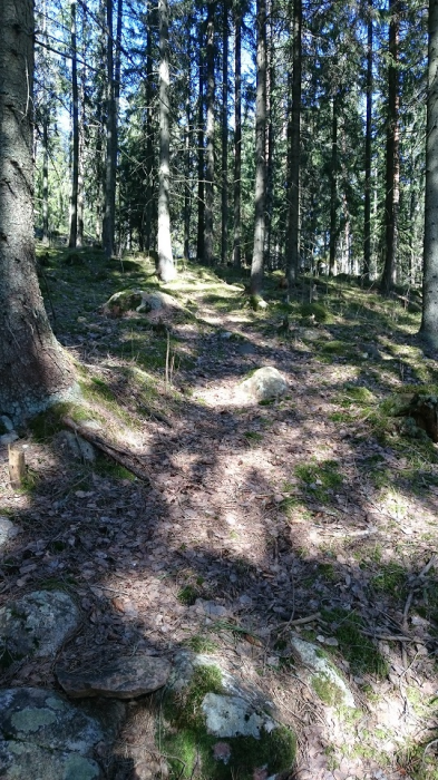 DSC_0307.JPG