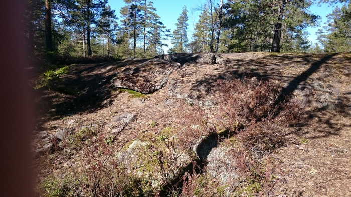 DSC_0301.JPG
