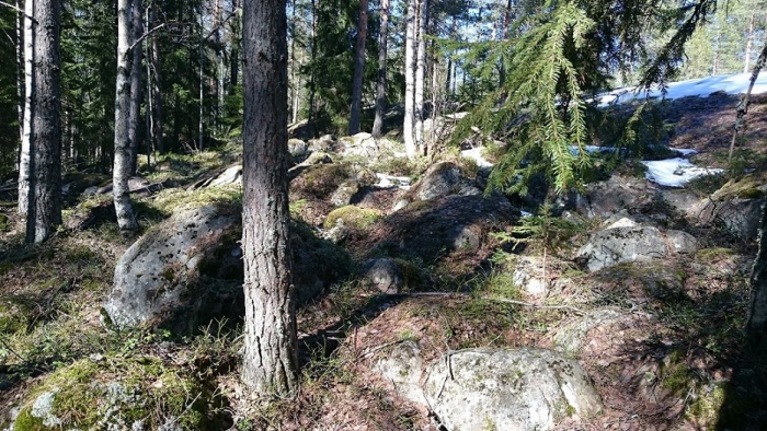 DSC_0305.JPG