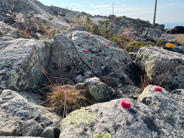 IMG_1362.jpeg