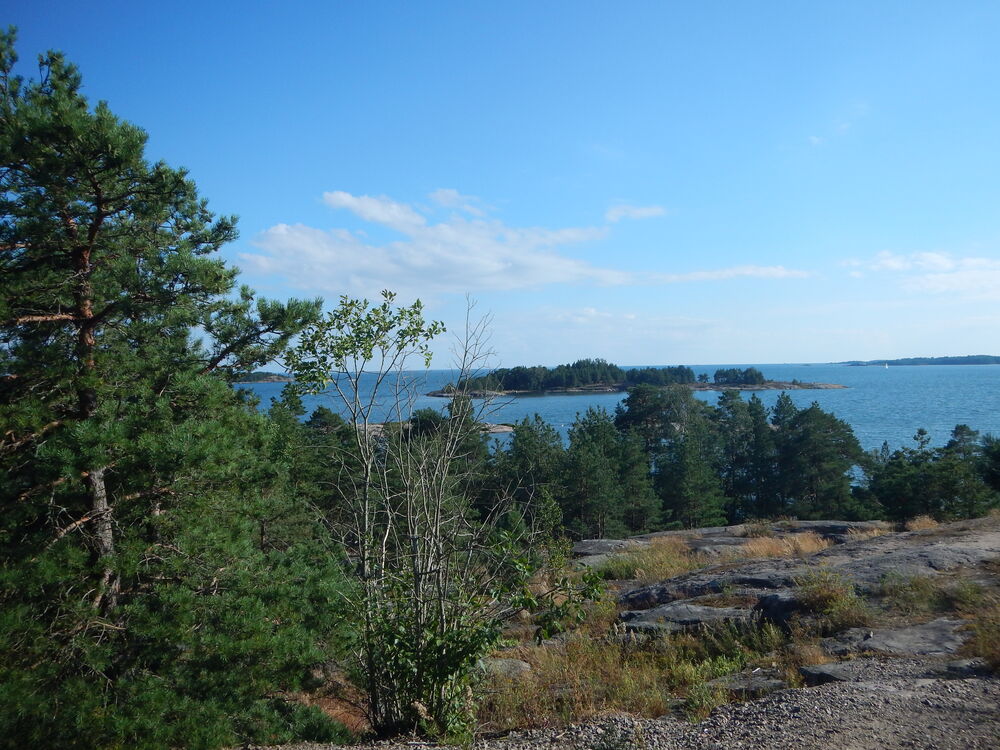 DSCN6224.JPG