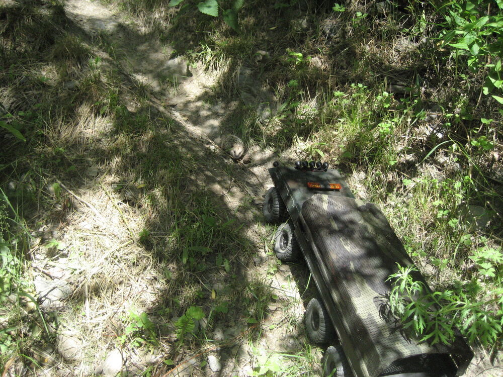 IMG_7538.JPG