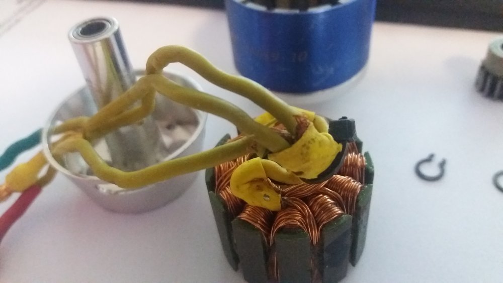 20180422_101641.jpg