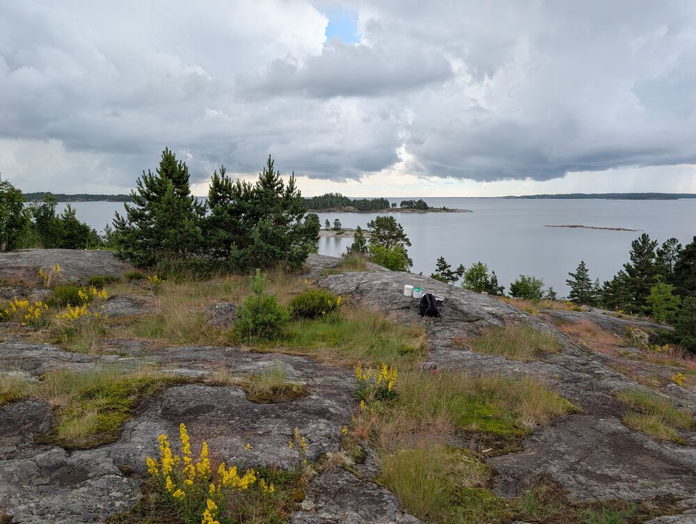 PXL_20260704_093152013.jpg