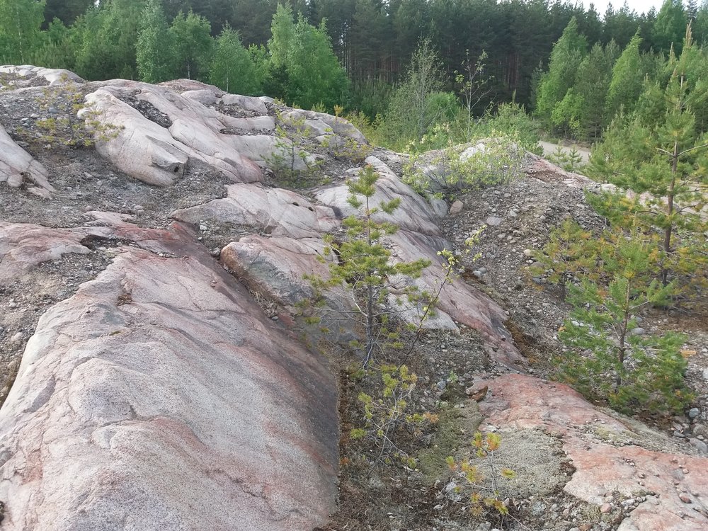 20180603_183241.jpg