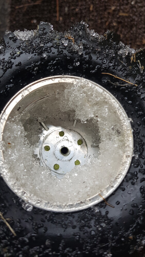 20190409_114928.jpg