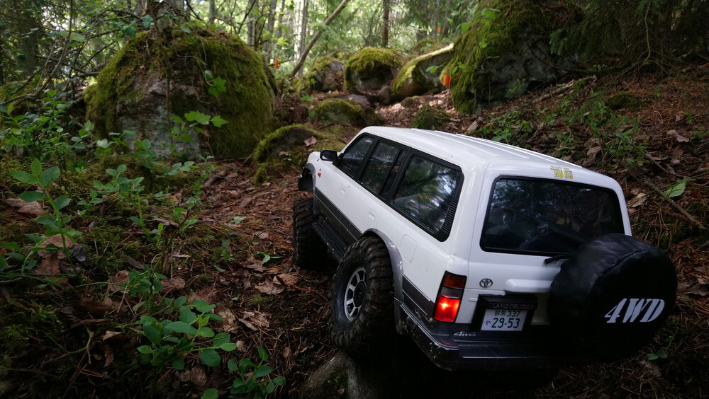 DSC_1156.JPG