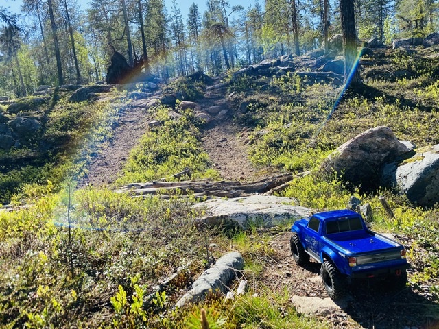 Kisa-ja safarikiesi