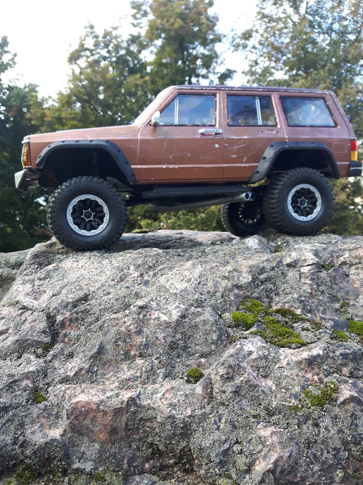 20201003_151940.jpg