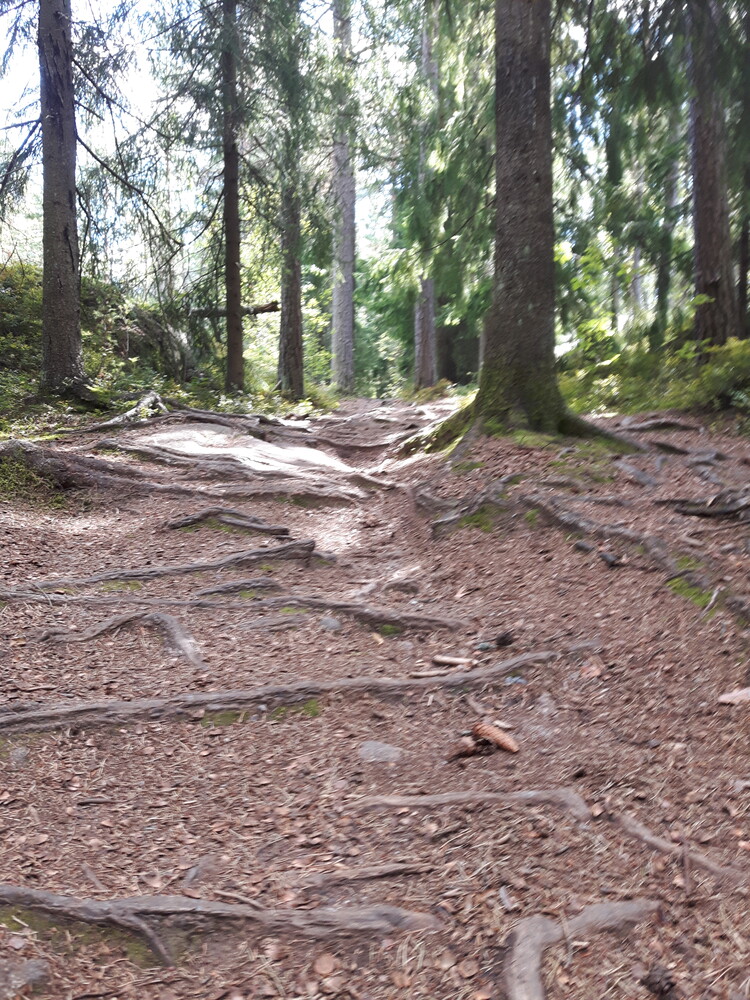 20200810_130612.jpg