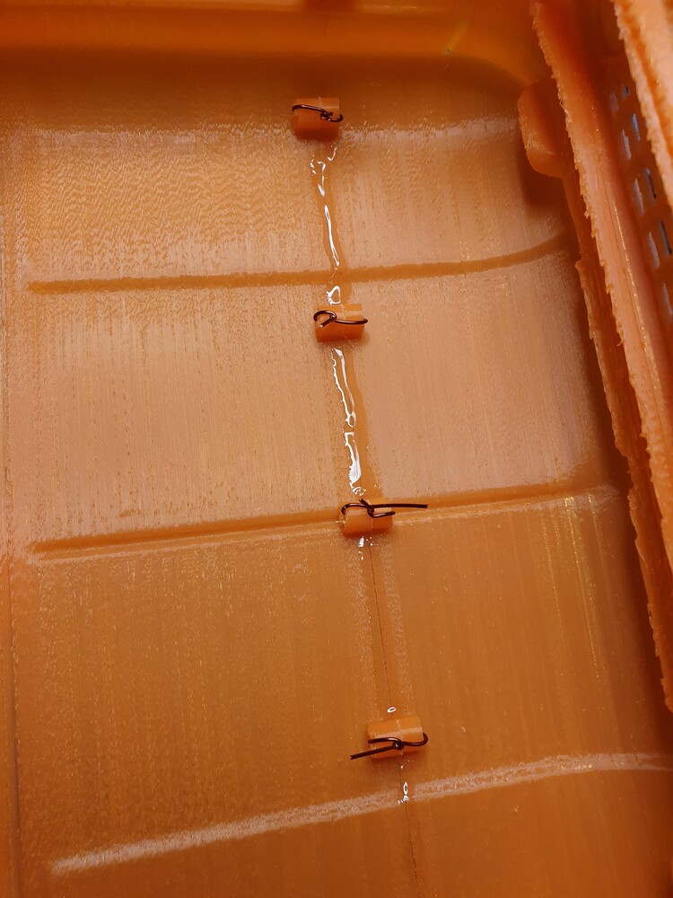 20201224_120313.jpg