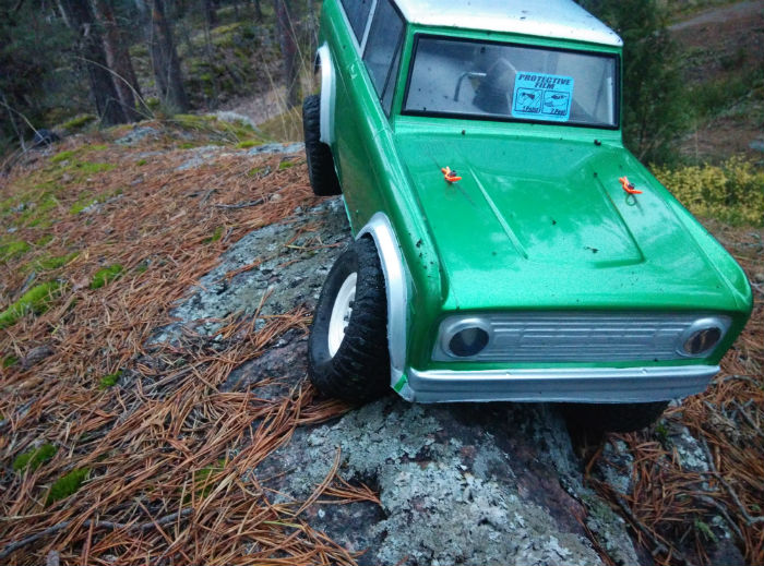 ajo1.jpg