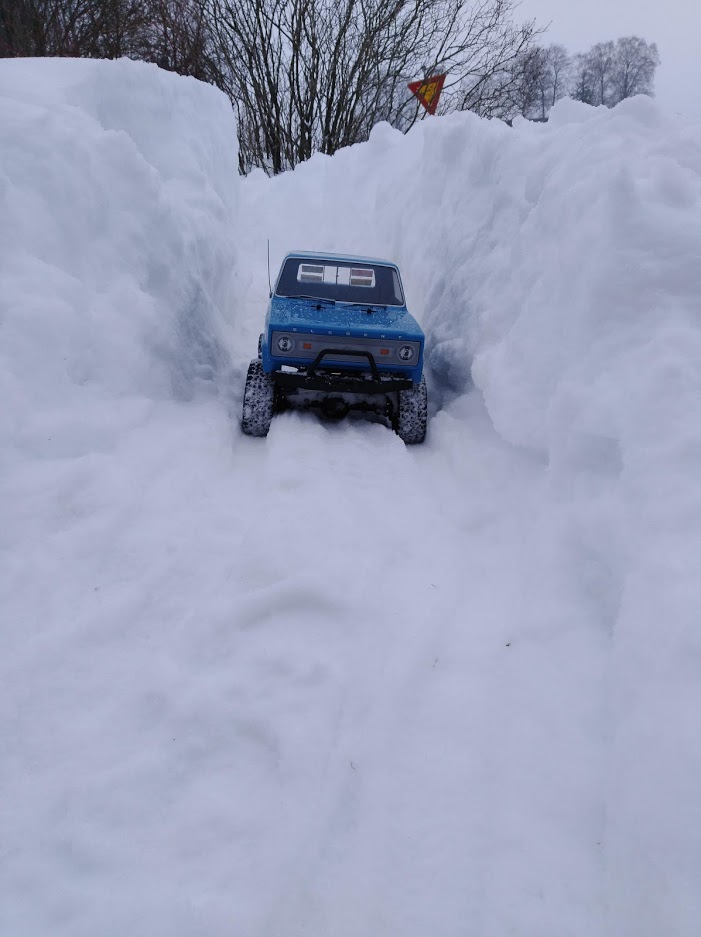 trail.jpg
