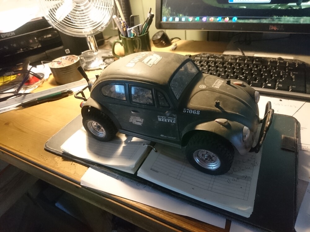 Beetle 001.JPG